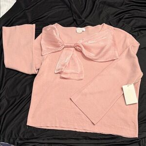 Elegant Pink Blouse with Bow